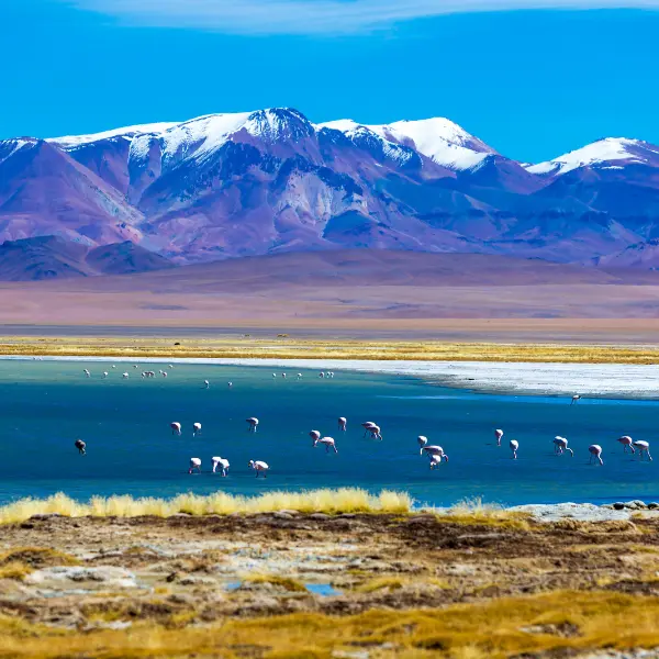 Chile & Bolivia - Atacama to Uyuni Treasures